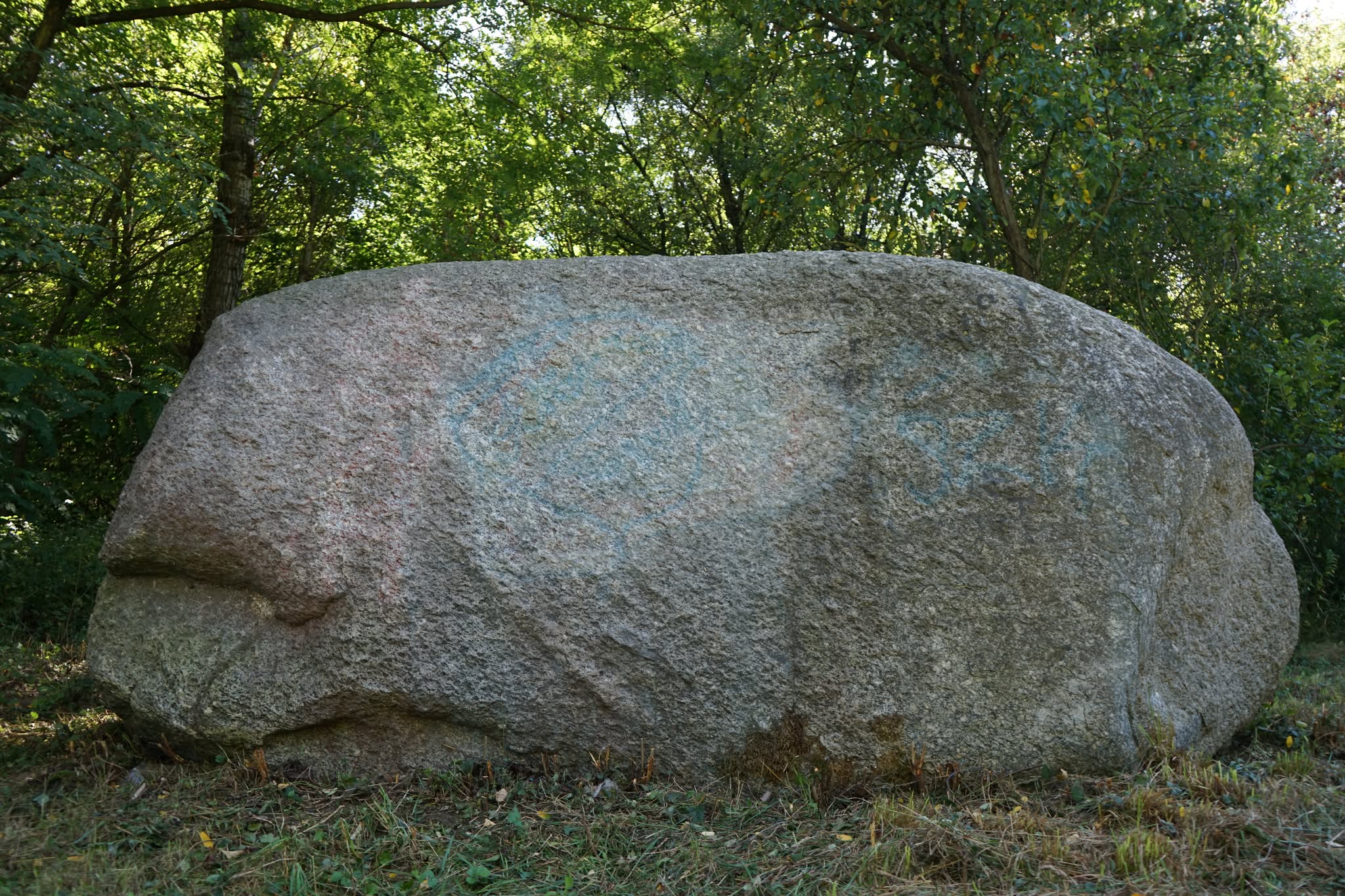 Fot. M. Wiśniewski